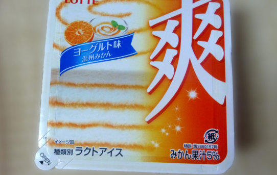 ヨーグルト味　温州みかん